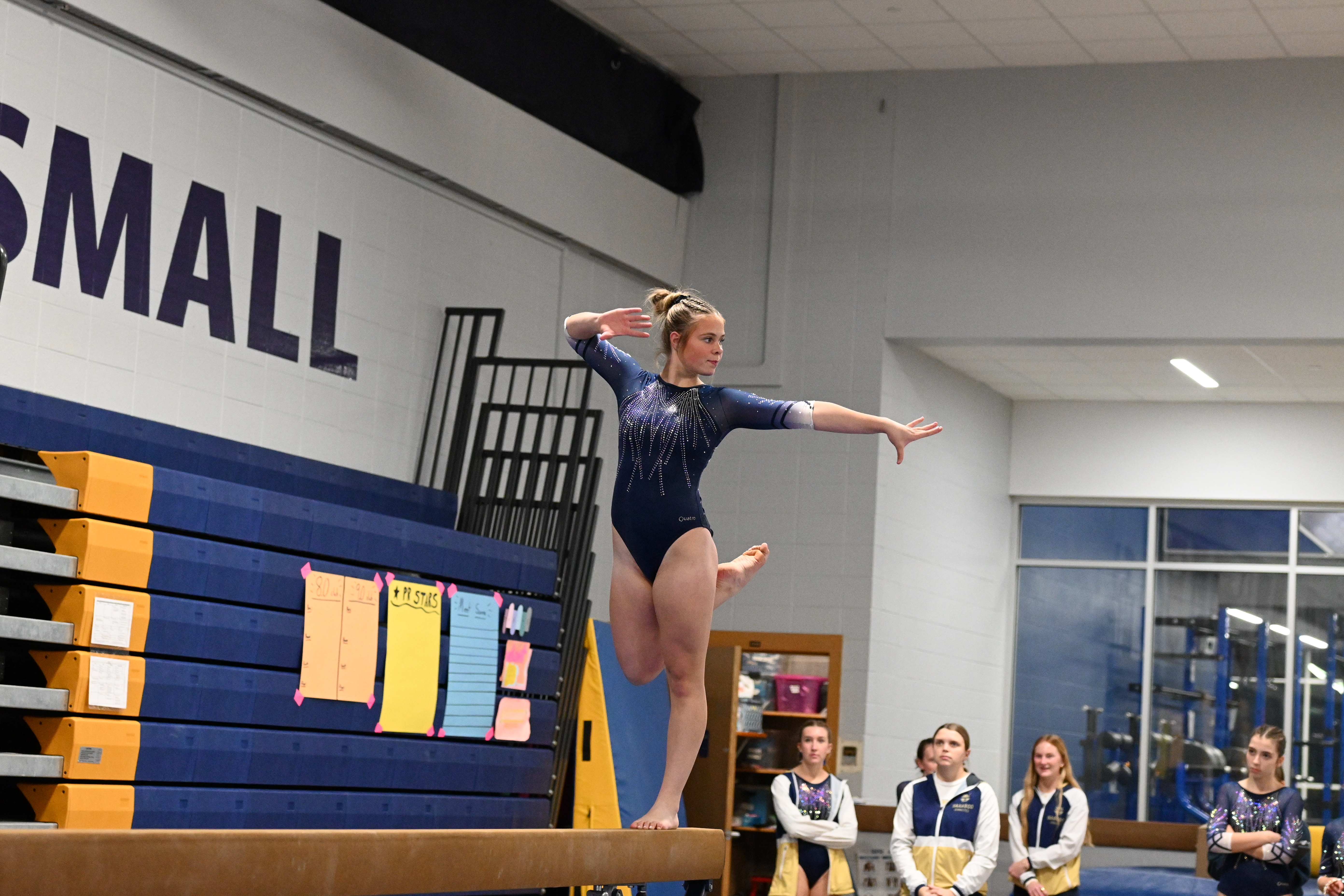 Baraboo Gymnastics Claims Victory over Monona Grove
